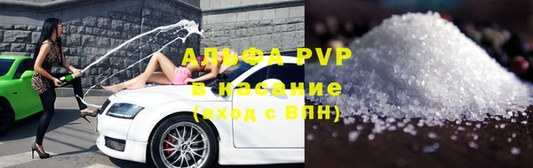 СК Гусев