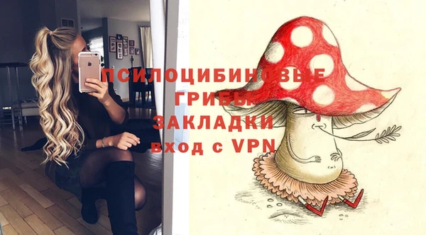 СК Гусев