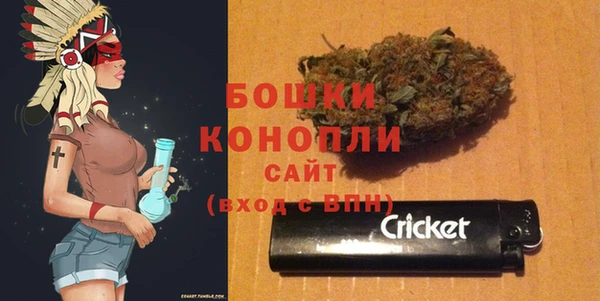 бошки Дмитров