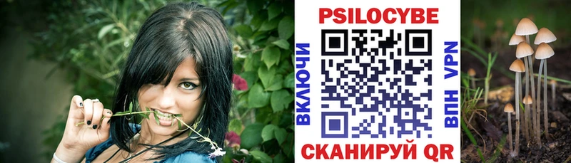 Галлюциногенные грибы Psilocybine cubensis  Купить закладки  Славгород 